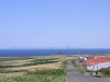 s_PICT0190_thumb.png
